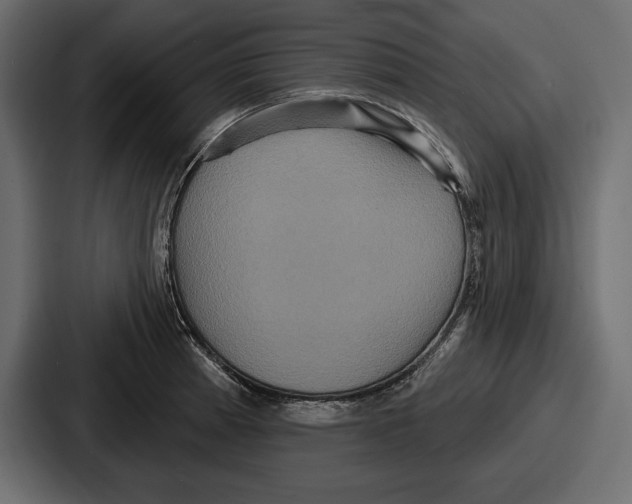 X0000086731185200705111609