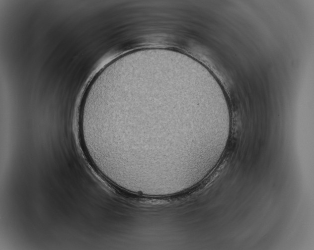 X0000086731187200705111609