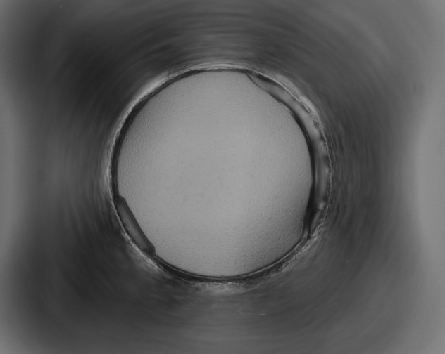 X0000086731189200705111609