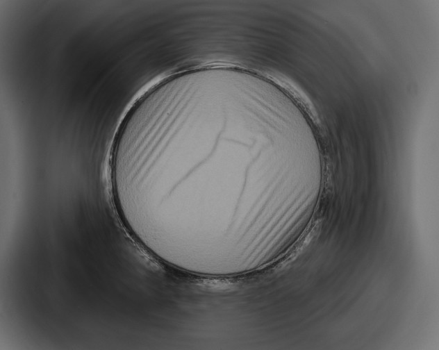 X0000086731190200705111609