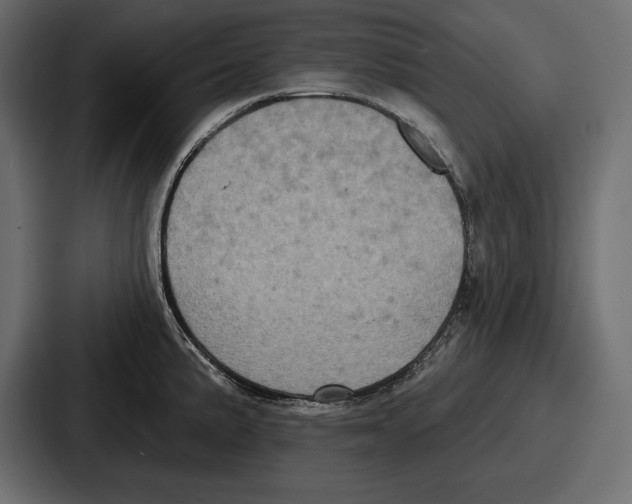 X0000086731191200705111609