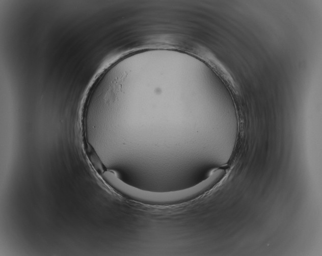 X0000086731192200705111609