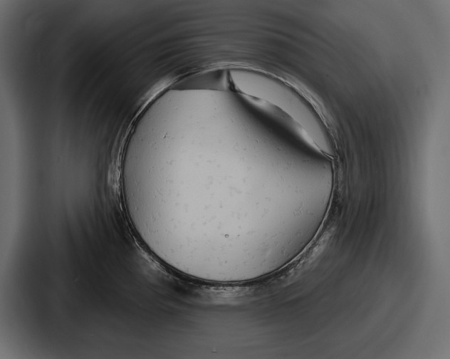 X0000086731193200705111609