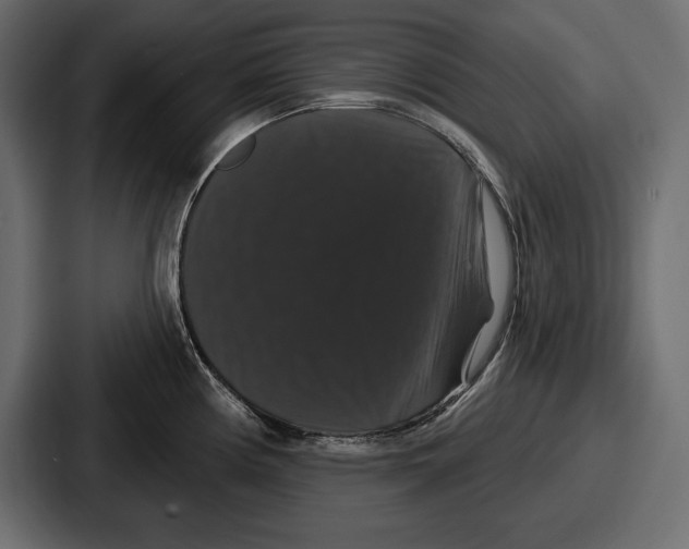 X0000086731194200705111608