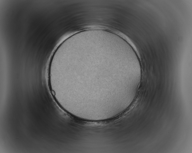 X0000086731195200705111608
