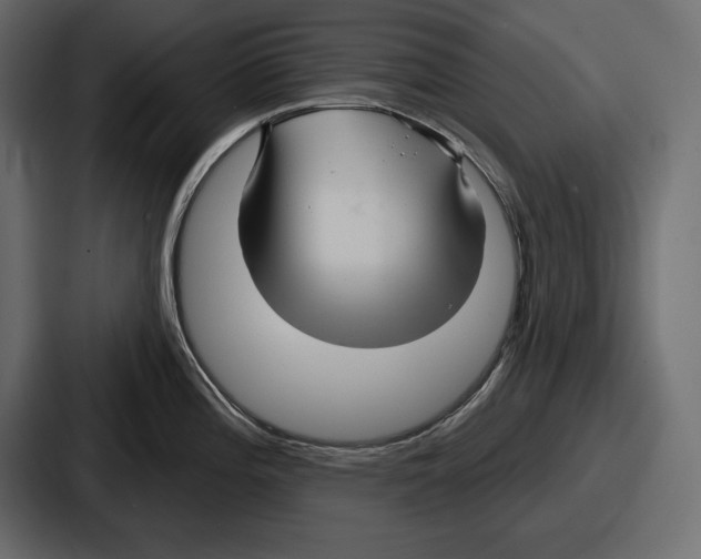 X0000086731196200705111608