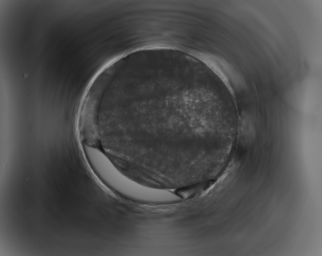 X0000086731197200705111608