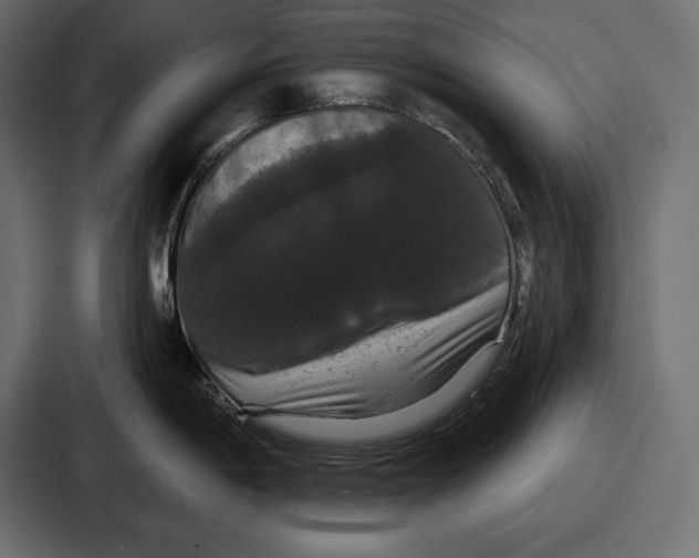 X0000086731198200705111608