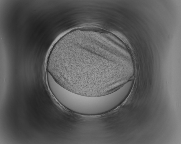 X0000086731200200705111608