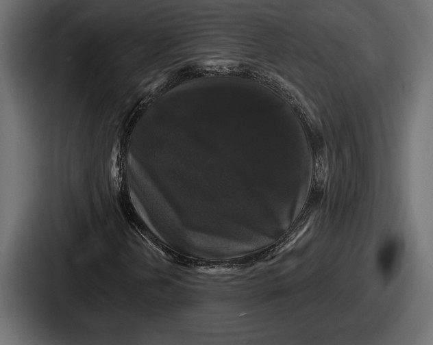 X0000086731202200705111608