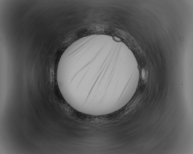 X0000086731203200705111608
