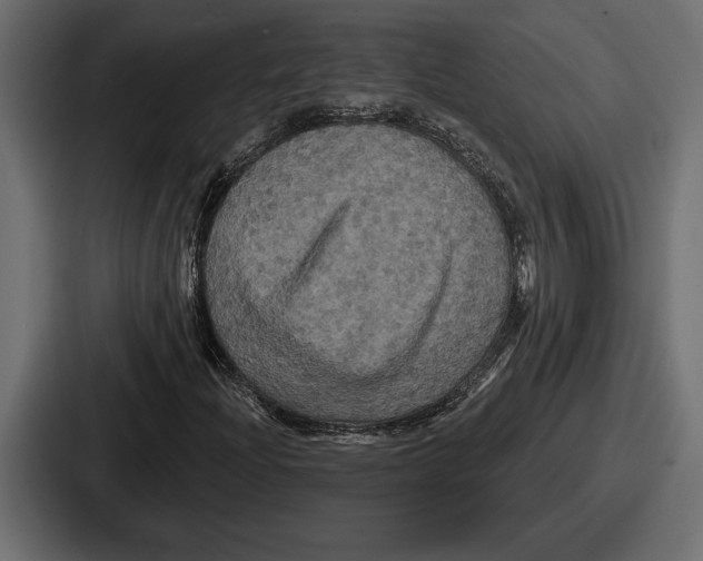 X0000086731204200705111608