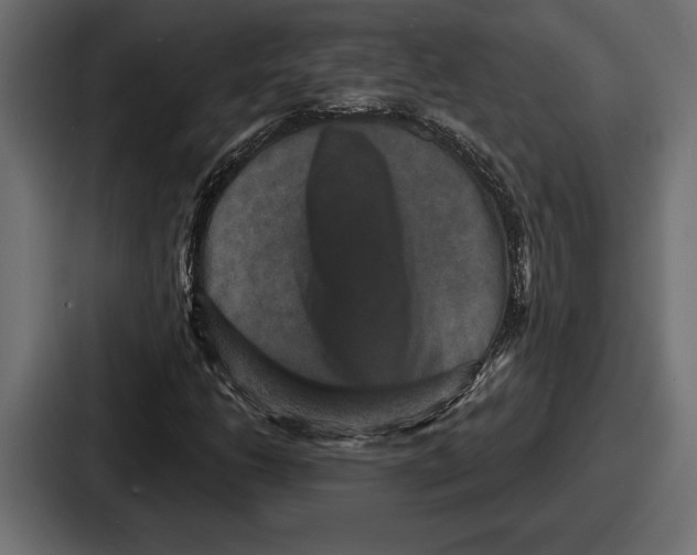 X0000086731206200705111608
