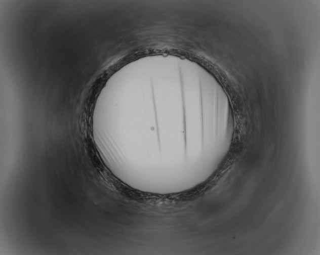 X0000086731207200705111608