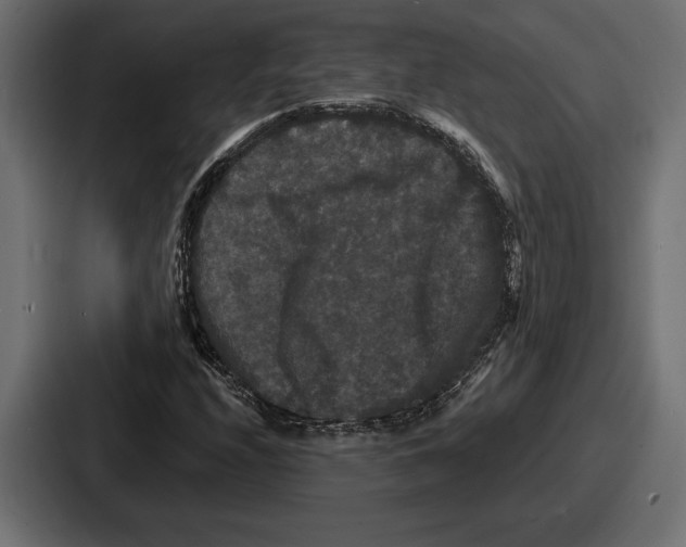 X0000086731208200705111608