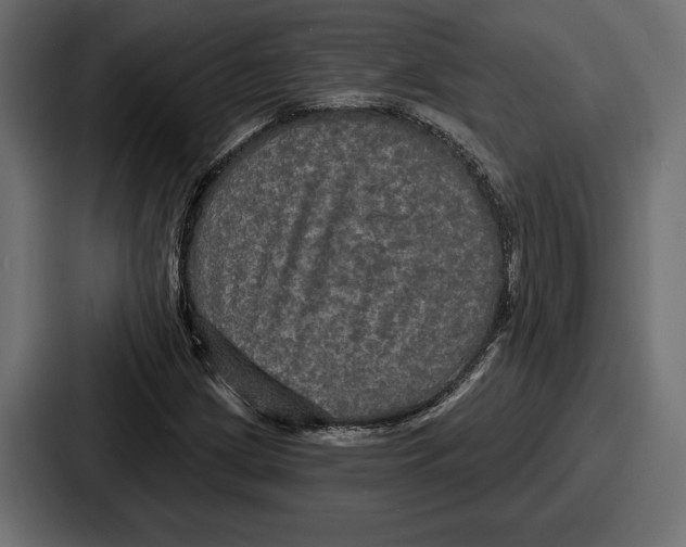 X0000086731209200705111608