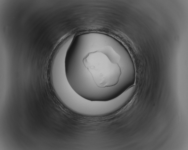X0000086731210200705111608