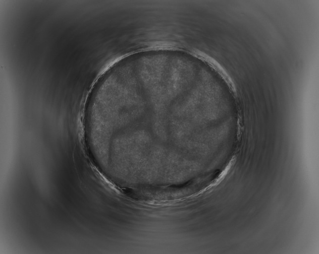 X0000086731212200705111608