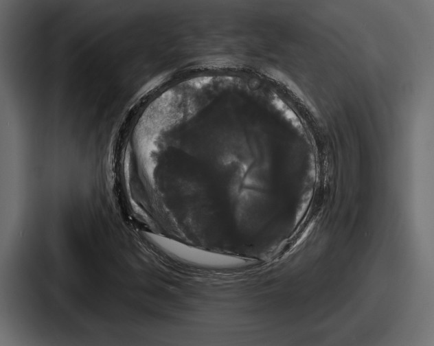 X0000086731213200705111608