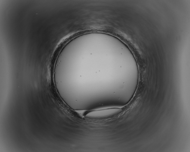 X0000086731214200705111608