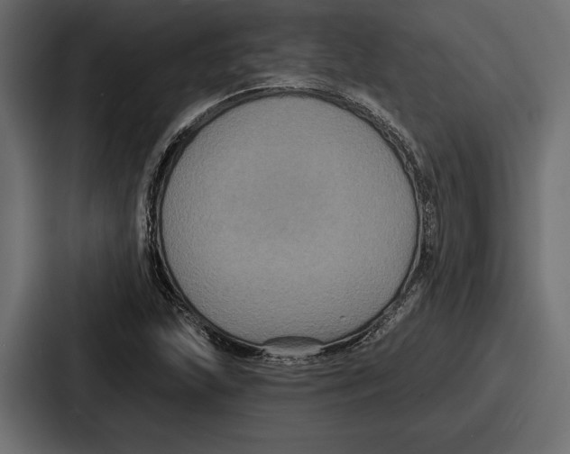 X0000086731215200705111608