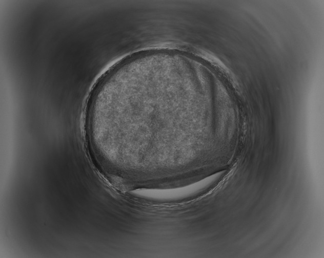 X0000086731216200705111608