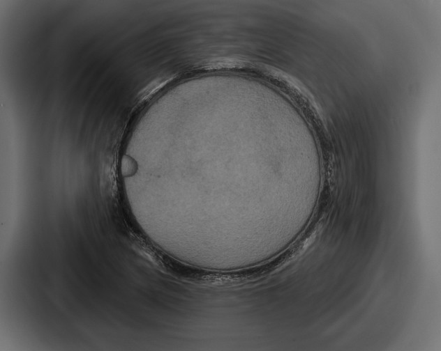 X0000086731217200705111608