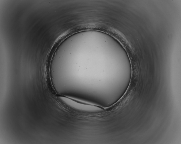 X0000086731218200705111608