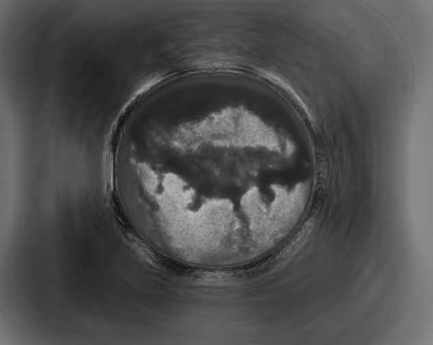 X0000086731219200705111608
