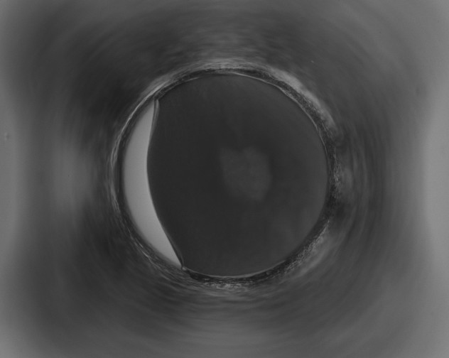X0000086731221200705111608