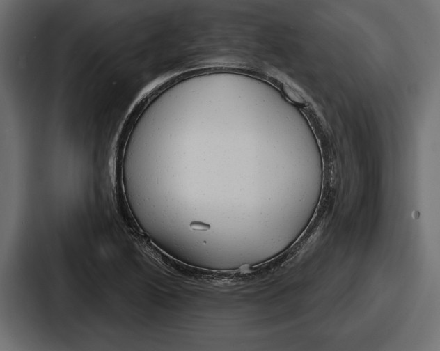 X0000086731222200705111608