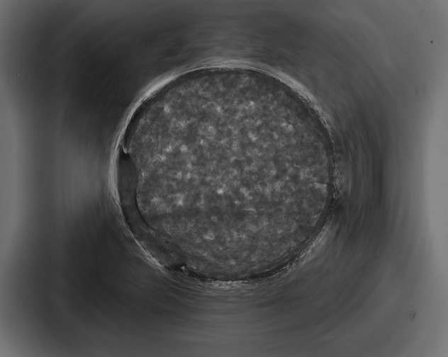 X0000086731223200705111608