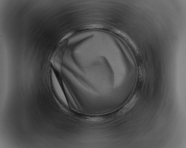X0000086731225200705111608