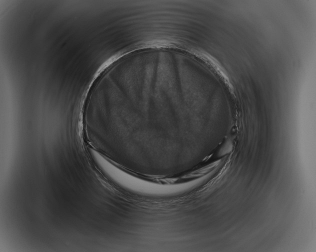 X0000086731226200705111608