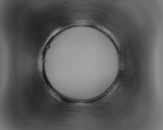 X0000086731227200705111608