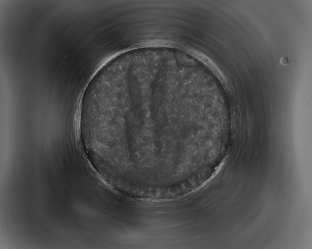 X0000086731228200705111608