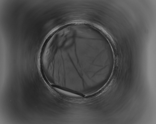 X0000086731229200705111608