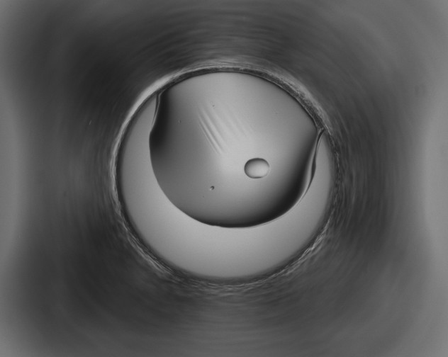 X0000086731230200705111608