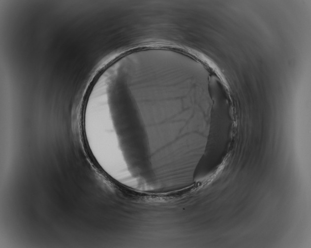 X0000086731231200705111608