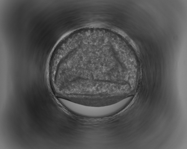 X0000086731232200705111608