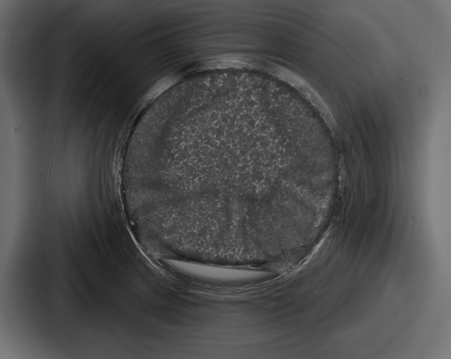 X0000086731233200705111608