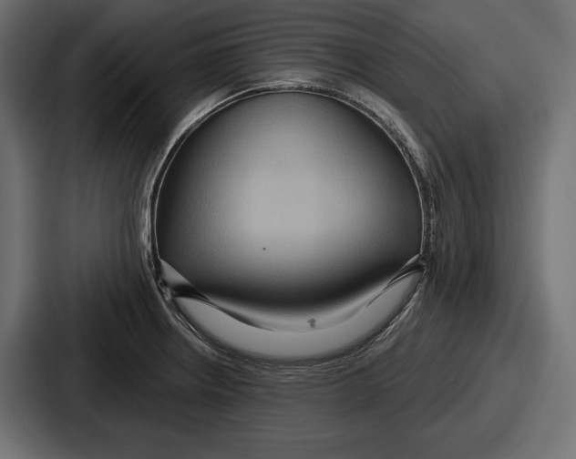 X0000086731234200705111608