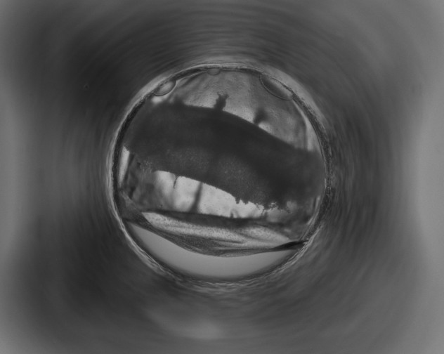 X0000086731237200705111608