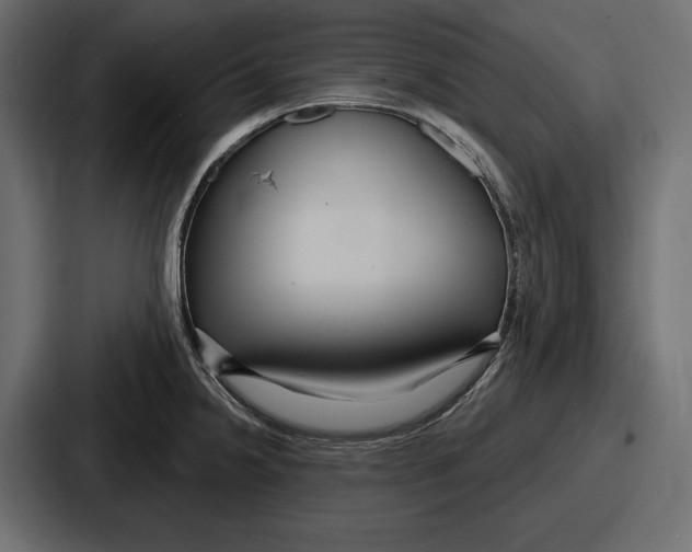 X0000086731238200705111608
