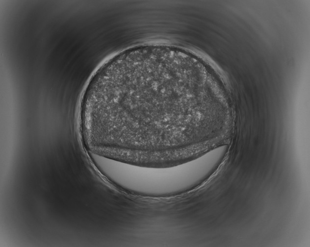 X0000086731240200705111608
