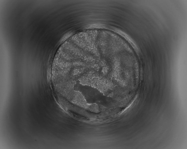 X0000086731241200705111608