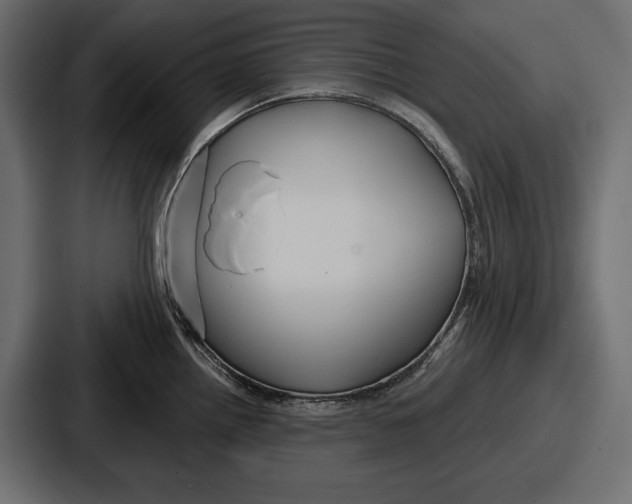 X0000086731242200705111608