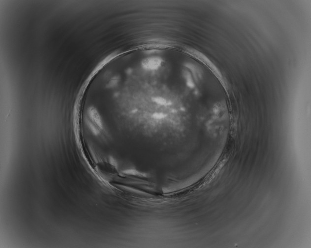 X0000086731243200705111608