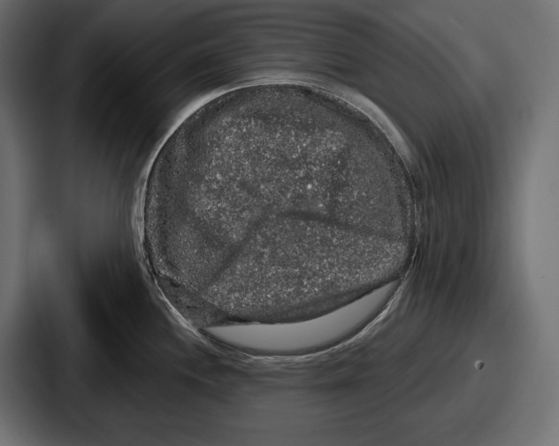 X0000086731244200705111608
