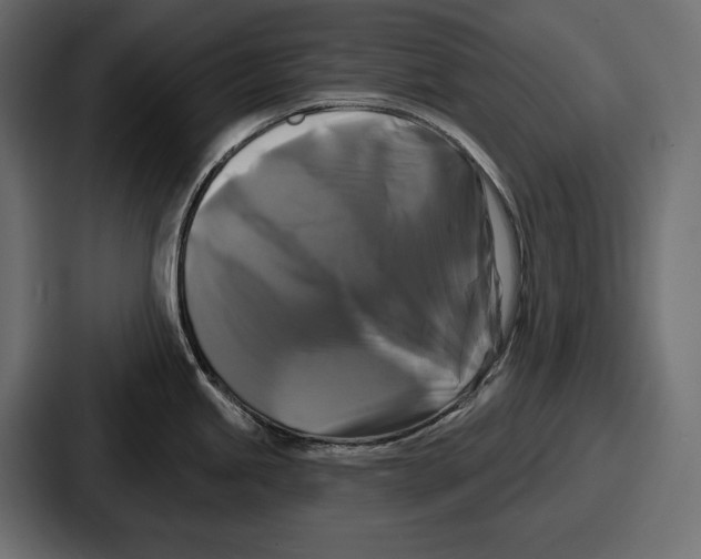 X0000086731245200705111608
